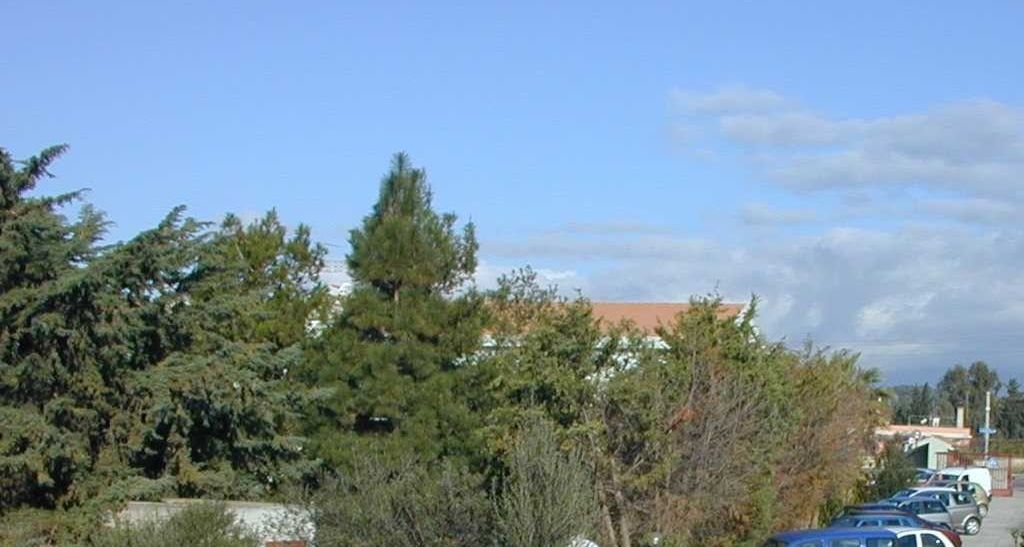 sede Quartu Sant'Elena loc. Capitana