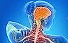 ARRIVA DALL’INTESTINO LA NUOVA CURA CONTRO LA SCLEROSI MULTIPLA