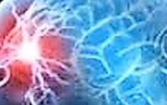 IMPARARE E GESTIRE LA DEGLUTIZIONE DOPO UN ICTUS